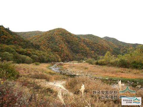 대표시청각 이미지