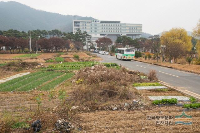 대표시청각 이미지